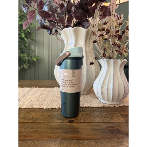 Special Edition Owala 30oz Stainless Steel FreeSip Water Bottle - Wintergreen - Picture 1 of 14